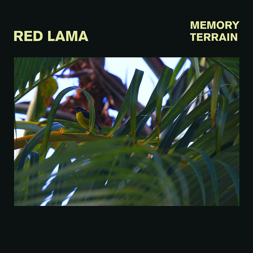 Red Lama: Memory Train.( Ltd. Transparent Green Vinyl).